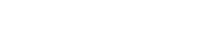 Burmester